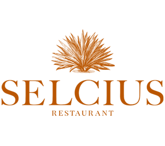 Selcius, Lyon